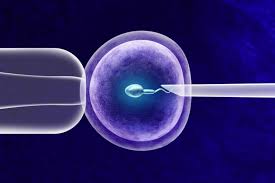 Laser-Assisted Hatching - maa fartility